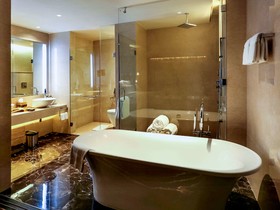 Hotel Pullman New Delhi Aerocity