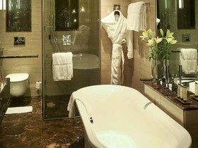 Hotel Pullman New Delhi Aerocity