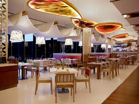 Hotel Pullman New Delhi Aerocity