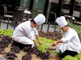 Hotel Pullman New Delhi Aerocity