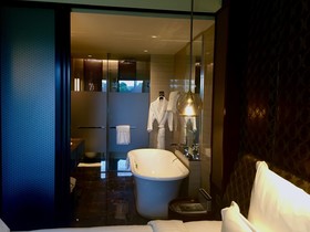 Hotel Pullman New Delhi Aerocity