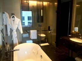 Hotel Pullman New Delhi Aerocity