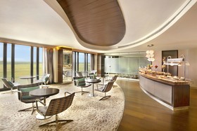Hotel Pullman New Delhi Aerocity