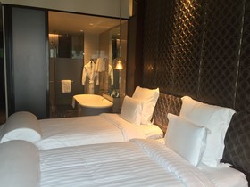 Hotel Pullman New Delhi Aerocity