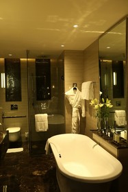 Hotel Pullman New Delhi Aerocity