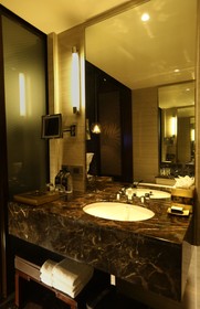 Hotel Pullman New Delhi Aerocity