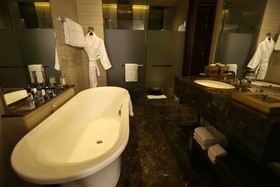 Hotel Pullman New Delhi Aerocity
