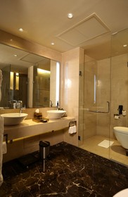Hotel Pullman New Delhi Aerocity