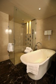 Hotel Pullman New Delhi Aerocity