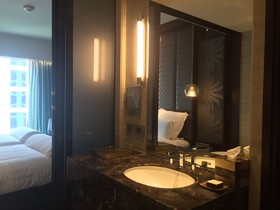 Hotel Pullman New Delhi Aerocity