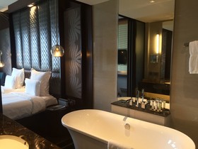 Hotel Pullman New Delhi Aerocity