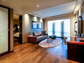 Hotel Pullman New Delhi Aerocity