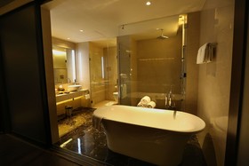 Hotel Pullman New Delhi Aerocity