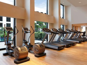 Hotel Pullman New Delhi Aerocity