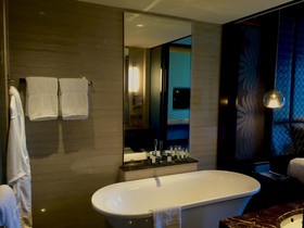 Hotel Pullman New Delhi Aerocity