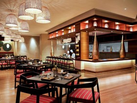 Hotel Pullman New Delhi Aerocity