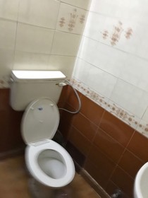 Hotel Star Palace