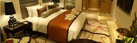 Pride Plaza Hotel Aerocity
