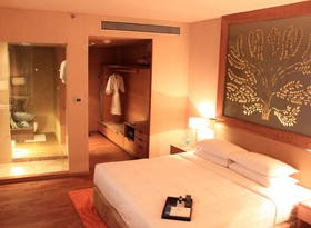 Radisson Blu Hotel, New Delhi Dwarka