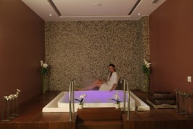 Radisson Blu Hotel, New Delhi Dwarka