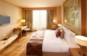 Radisson Blu Hotel, New Delhi Dwarka