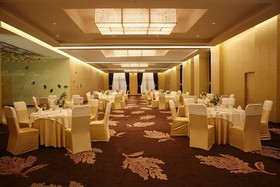 Radisson Blu Hotel, New Delhi Dwarka