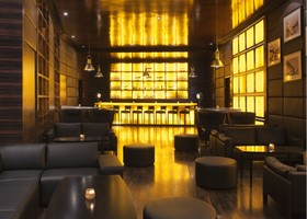 Radisson Blu Hotel, New Delhi Dwarka