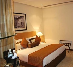 Radisson Blu Marina Connaught Place