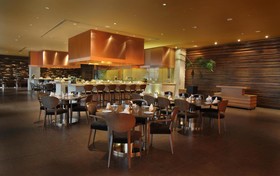 Radisson Blu Paschim Vihar