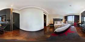 Radisson Blu Paschim Vihar
