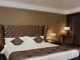 Radisson Blu Paschim Vihar