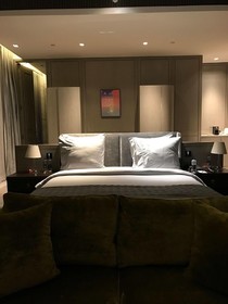 Roseate House New Delhi