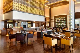 Hyatt Centric Janakpuri New Delhi