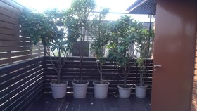 Udman Hotel Panchshila Park