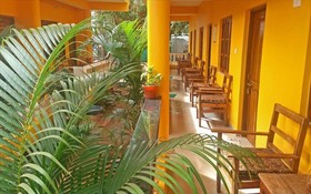 My Friend's Place