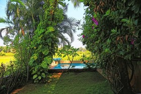 The Acacia Villa Candy Floss