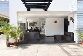 Treehouse Alchemy Creek