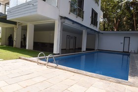 Treehouse Alchemy Creek