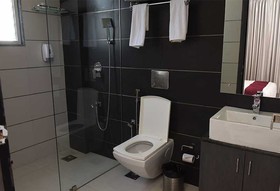 Treehouse Alchemy Creek