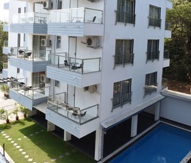 Treehouse Alchemy Creek