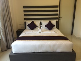 Treehouse Alchemy Creek