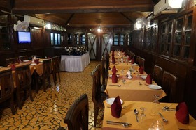 Primo Bom Terra Verde