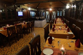 Primo Bom Terra Verde