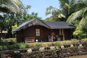 Primo Bom Terra Verde