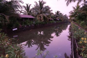 Primo Bom Terra Verde