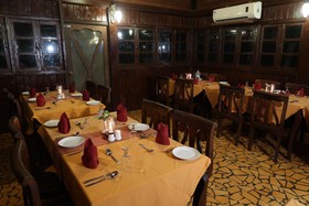 Primo Bom Terra Verde