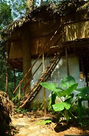 Saraya Art Cafe Bed and Breakfast