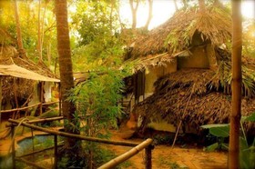 Saraya Art Cafe Bed and Breakfast