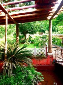 Saraya Art Cafe Bed and Breakfast