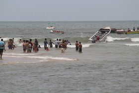 Sugar Plum Macedo Palms